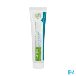 DENTARGILE DENT MENTHE TUB 75ML