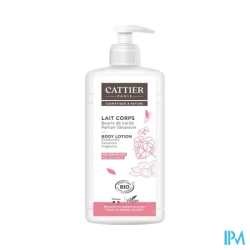 CATTIER LAIT CORP KARIT/GERAN500ML