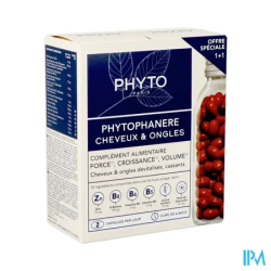 PHYTOPHANERE CHEV/ONG CAPS120X2