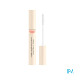 EMBRYOLISSE BOOST CIL/SOURCIL