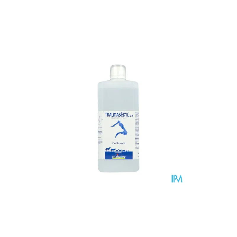 TRAUMASEDYL GA BUV FL 1L