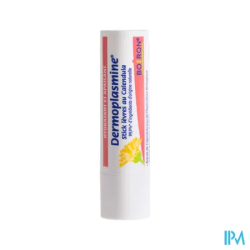 DERMOPLASMINE STICK LEV CALEND 4G