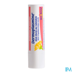 DERMOPLASMINE STICK LEV CALEND 4G