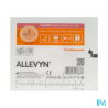 ALLEVYN GENT/BORD LIT OVAL SMAL10