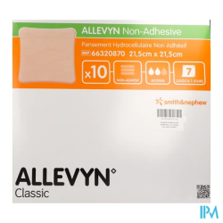 ALLEVYN PANS N/ADH21,5X21,5CM10
