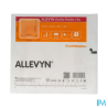 ALLEVYN GENT/BORD LITE 15X15 10