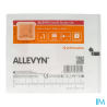 ALLEVYN GENT/BORD LITE 8X8 10