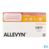 ALLEVYN GENT/BORD LITE 8X15 10