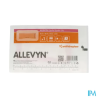 ALLEVYN GENT/BORD LITE 8X15 10