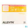 ALLEVYN GENT/BORD LITE 10X10 10