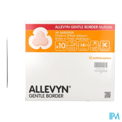 ALLEVYN GENT/BORD MULTISIT BT10