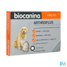 BIOCANINA ARTHROPLUS CPR 40