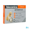 BIOCANINA ARTHROPLUS CPR 40