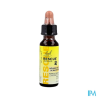 RESCUE BACH ORIGINAL PETS GTTE10ML