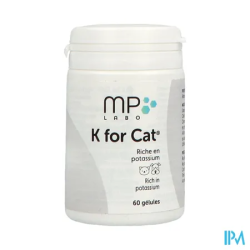 K FOR CAT GELUL 60