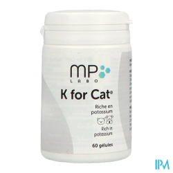 K FOR CAT GELUL 60
