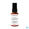 GARANCIA ROUGEUR DISPARAIS SER30ML
