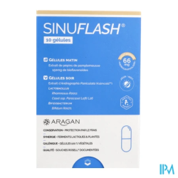 ARAGAN SINUFLASH GELUL 10