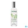 Caudalie eau beaute visage 100ml - La Grande Pharmacie