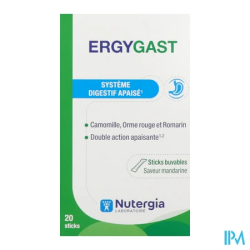 ERGYGAST STICK BUVABLE X 20