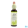 Fl bach original white chest 20ml - La Grande Pharmacie