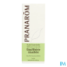 Pranarom he gaultherie couch 10ml - La Grande Pharmacie