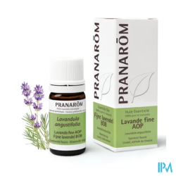 Pranarom he lavande fine aop 5ml - La Grande Pharmacie