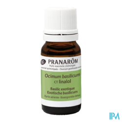 Pranarom he bio basilic exot 10ml - La Grande Pharmacie