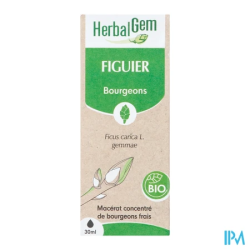 Herbalgem macer mer bio figuie30ml - La Grande Pharmacie