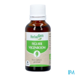 Herbalgem macer mer bio figuie30ml - La Grande Pharmacie